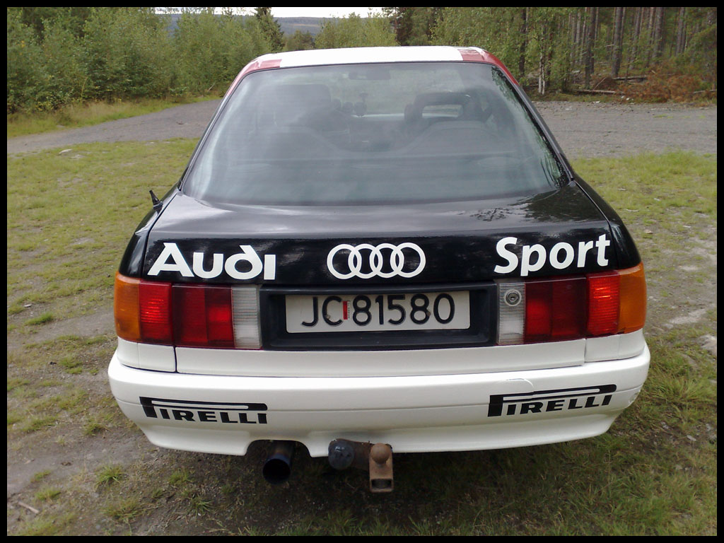 Audi 80 Rally